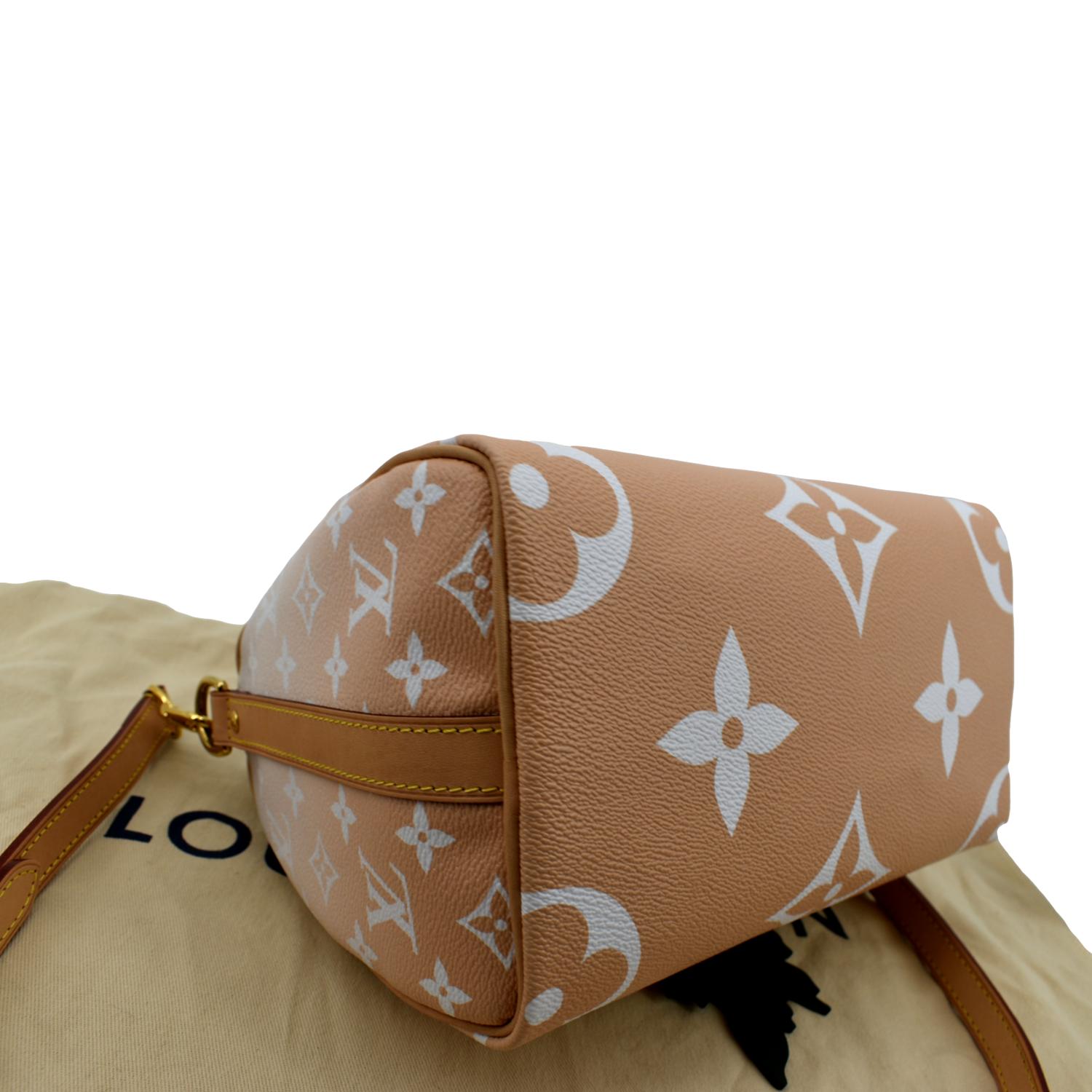 Louis Vuitton By The Pool Brume Speedy 25 Bandouliere Creme Mist Giant  Crossbody