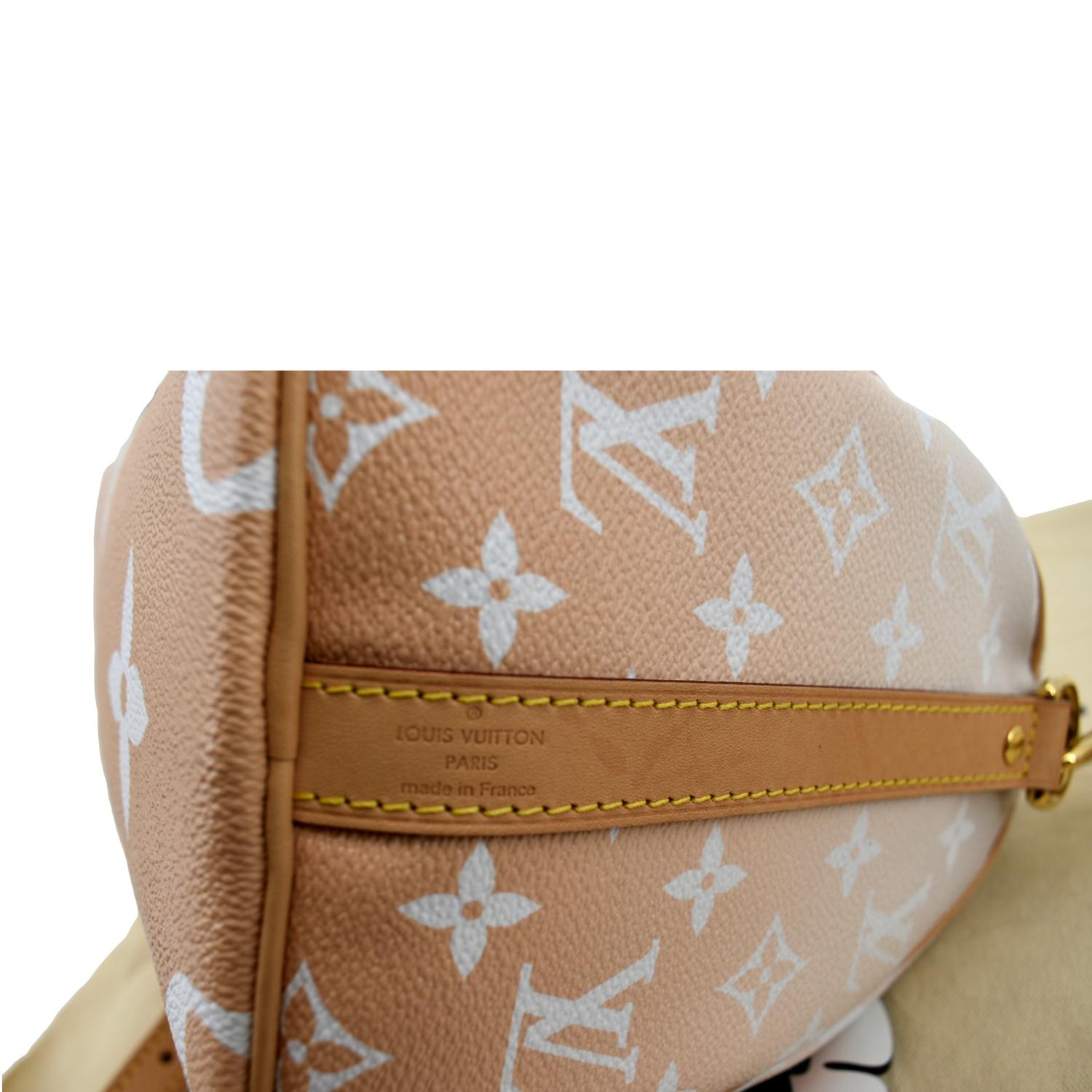 LOUIS VUITTON Speedy 25 Bag By The Pool M22987 Crossbody Hand Purse Auth LV  New