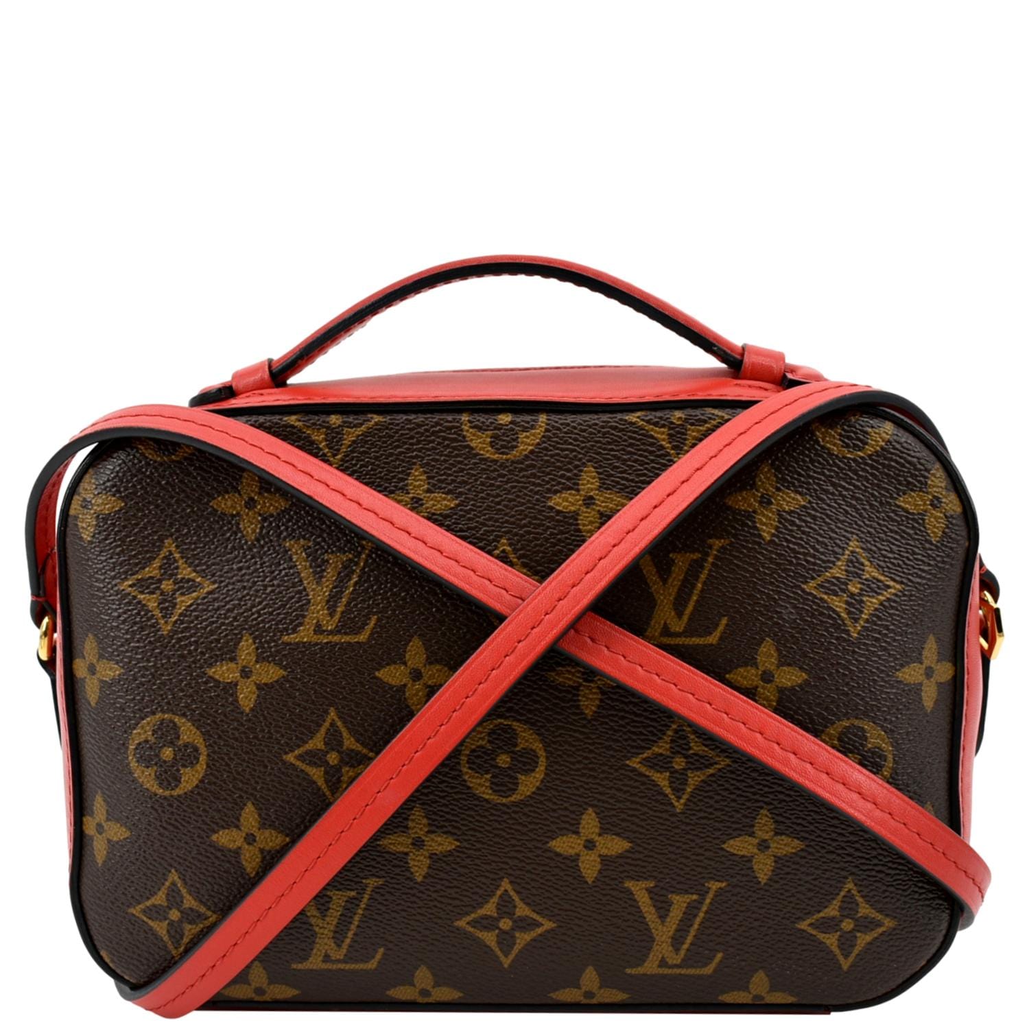 Louis Vuitton Monogram Canvas & Freesia Saintonge Bag – FashionsZila