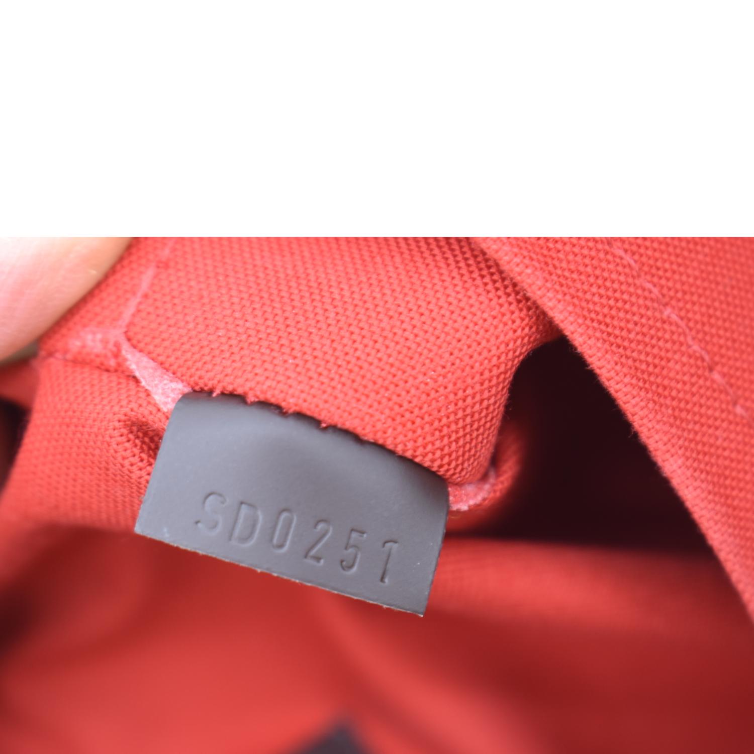 Louis Vuitton Damier Ebene Siena PM - Brown Handle Bags, Handbags -  LOU798257