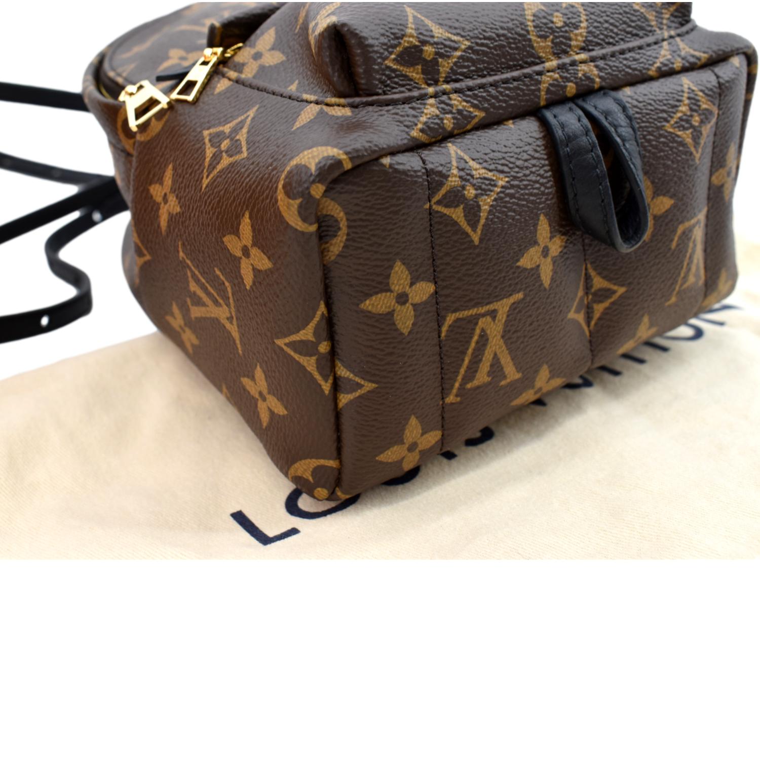 Louis Vuitton, Bags, Louis Vuitton Mini Palm Spring Monogram Backpack