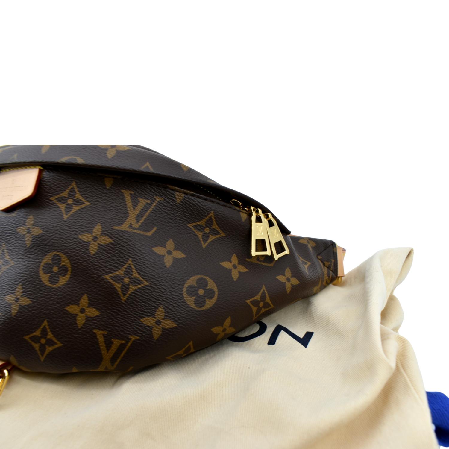 LOUIS VUITTON Monogram Canvas Bumbag Bag Brown