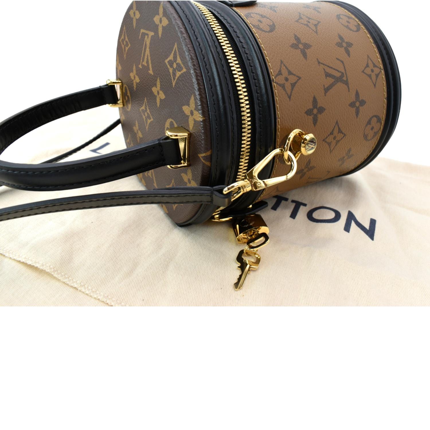 Louis Vuitton Cannes Reverse Monogram Satchel Bag