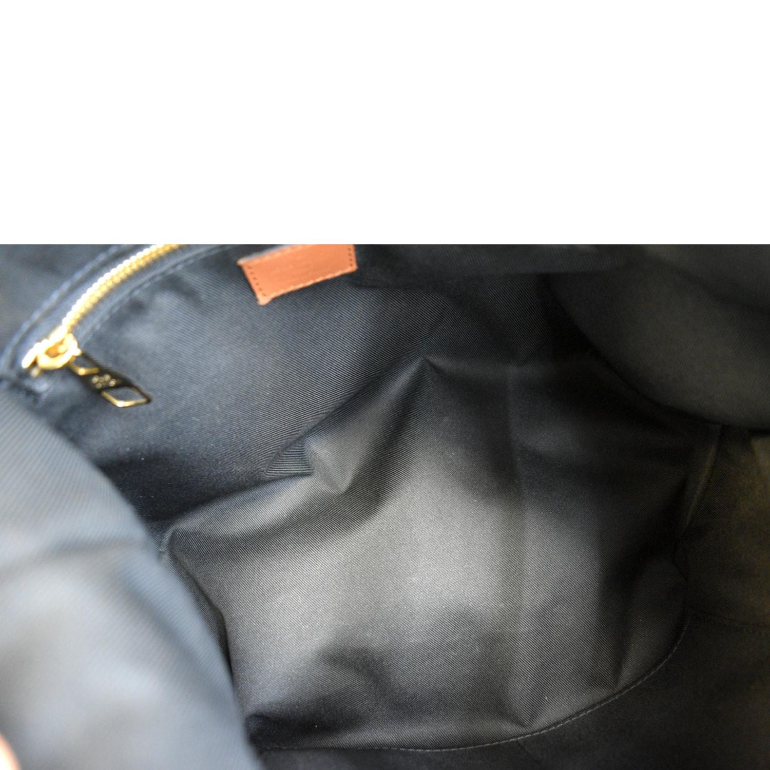 Dauphine hobo cloth crossbody bag Louis Vuitton Brown in Cloth