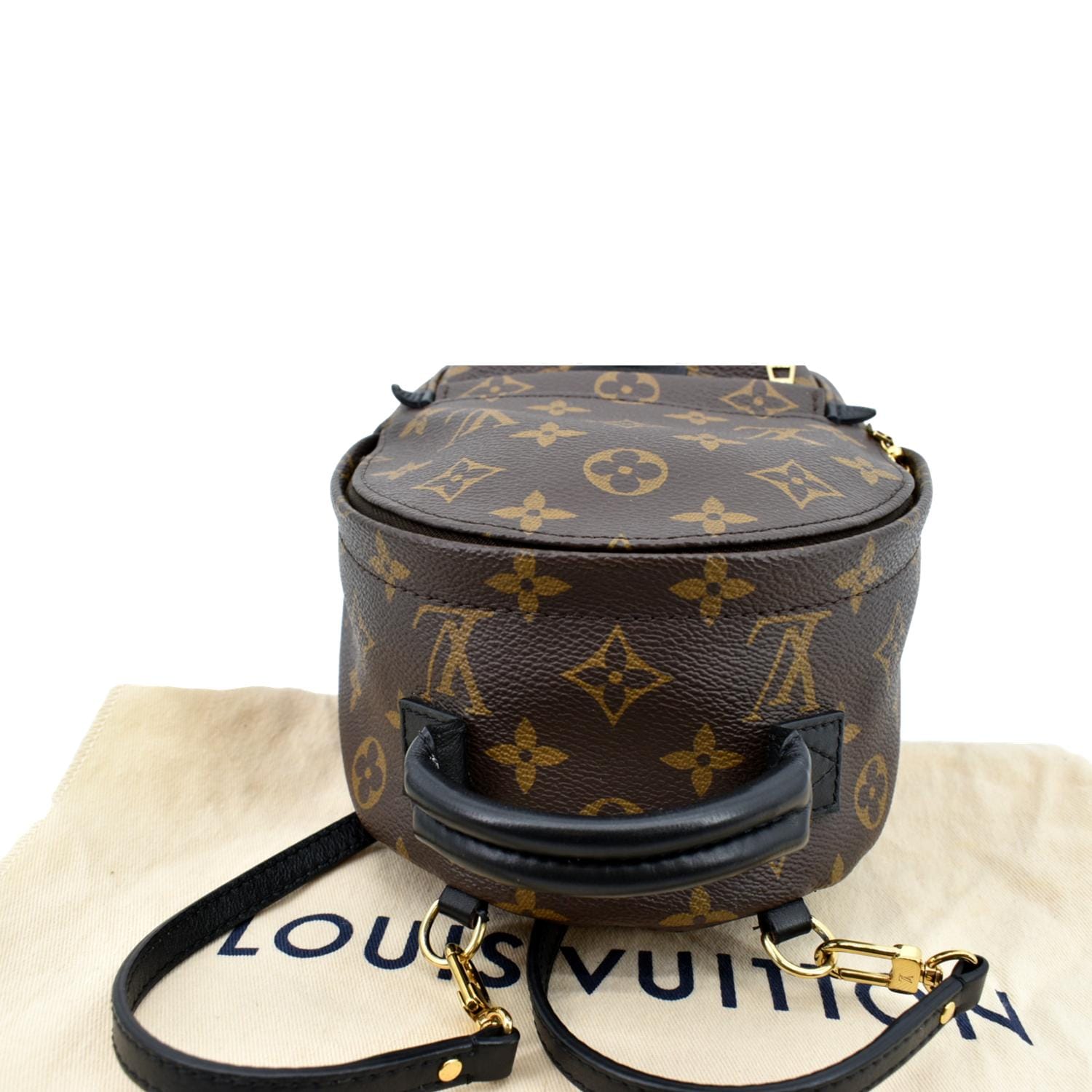 Louis Vuitton Palm Springs Mini Monogram Backpack