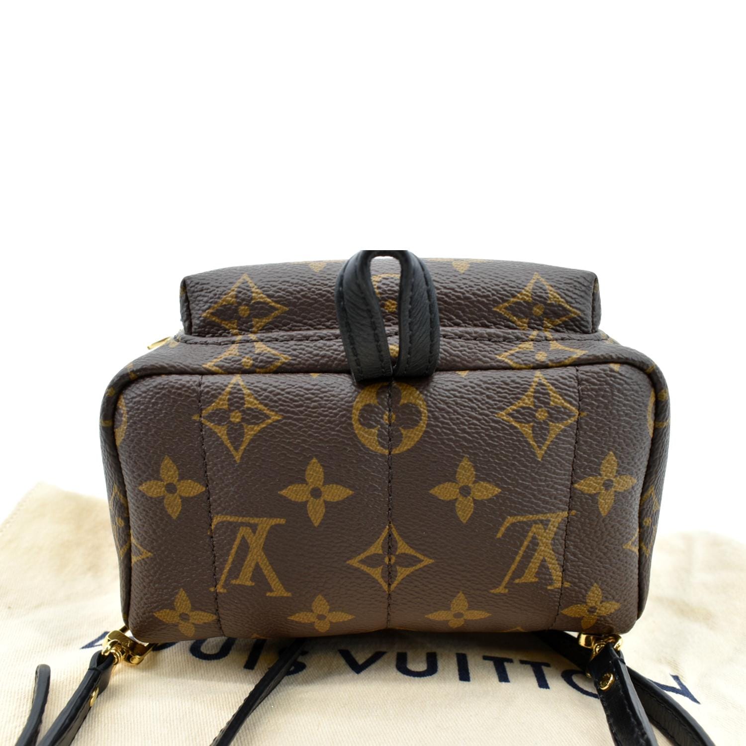 Louis Vuitton Palm Springs Mini Monogram Backpack