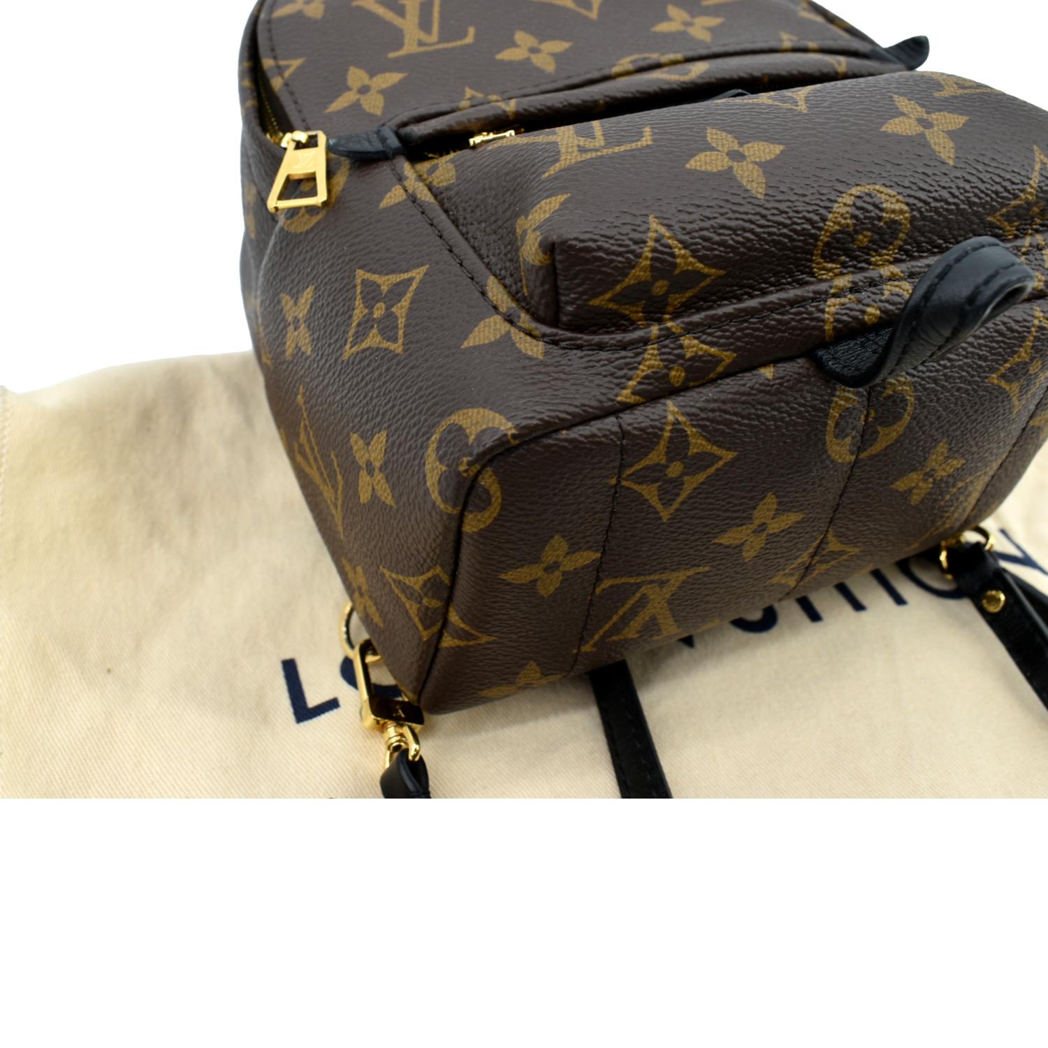 louis vuitton backpack small