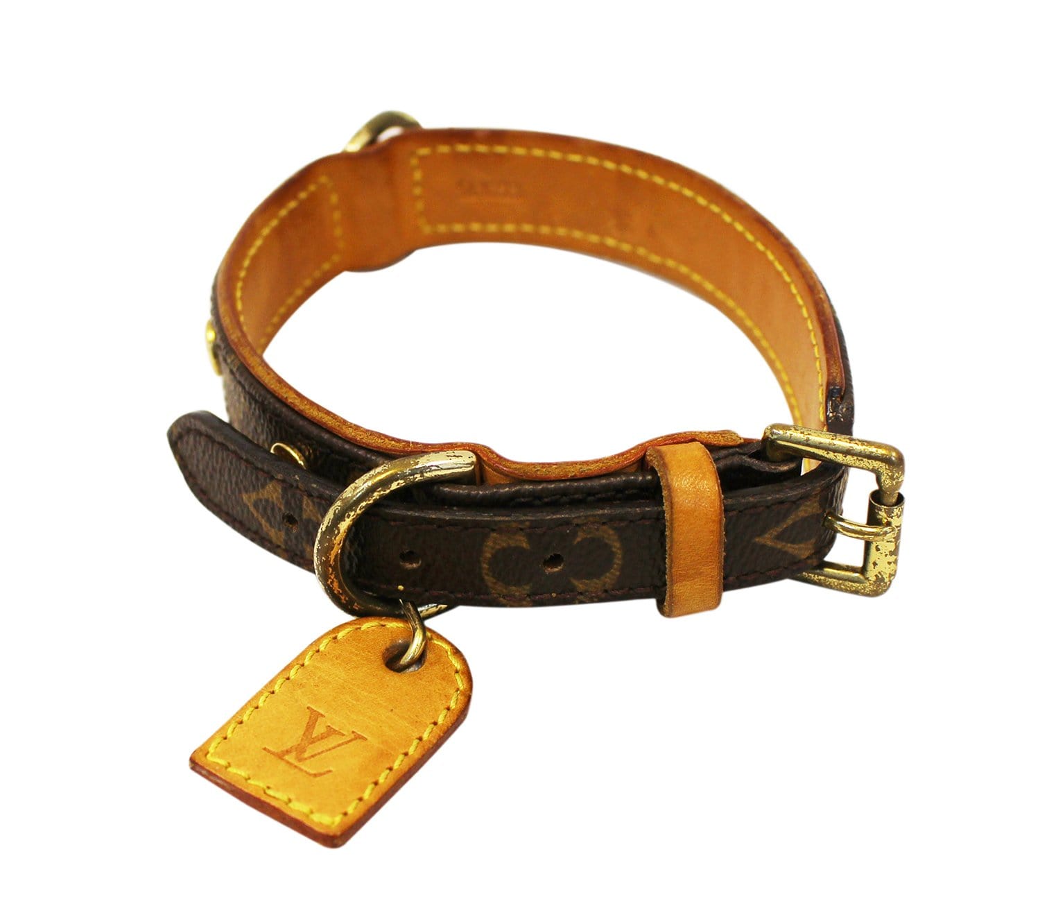 baxter dog leash