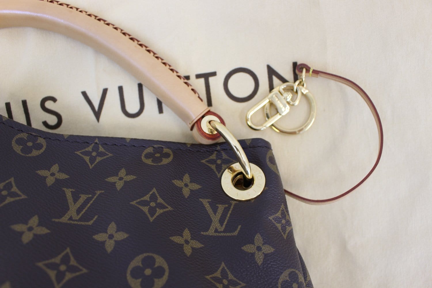 Louis Vuitton Monogram Métis Hobo – Old Trends New Trends