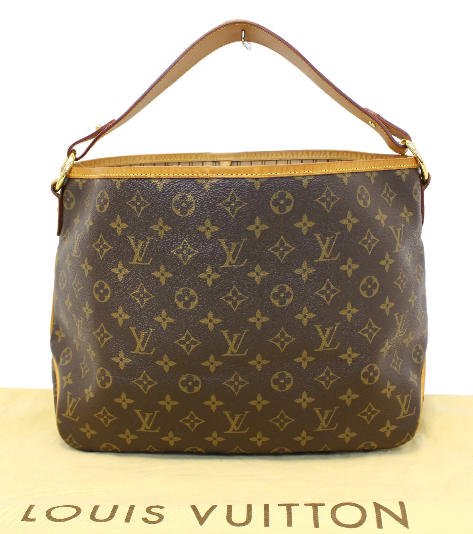 Louis Vuitton Delightful PM Monogram Bag