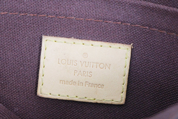 LOUIS VUITTON Favorite PM Monogram Canvas Crossbody Bag