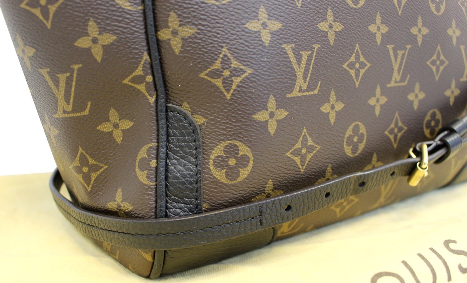 Louis Vuitton Monogram Canvas MM Garment Bag