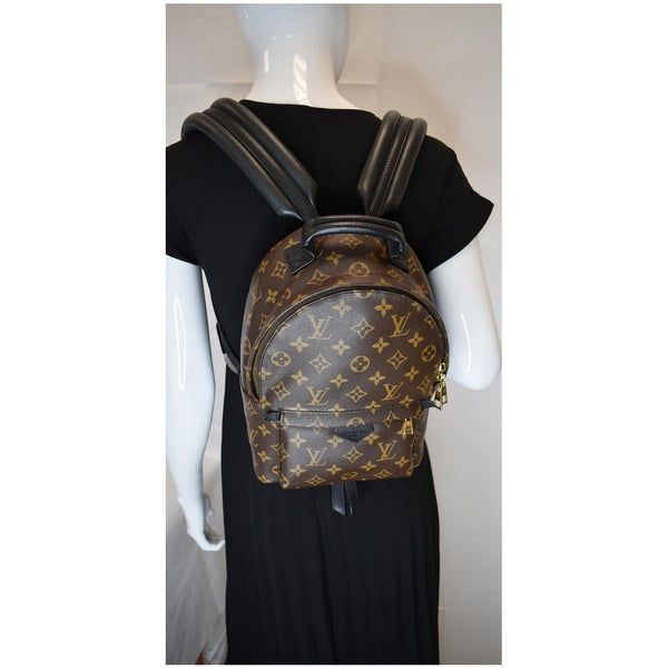 Louis Vuitton Palm Springs PM Monogram Canvas Backpack - shoulder backpack bag