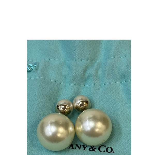 Dior Tribales Earrings