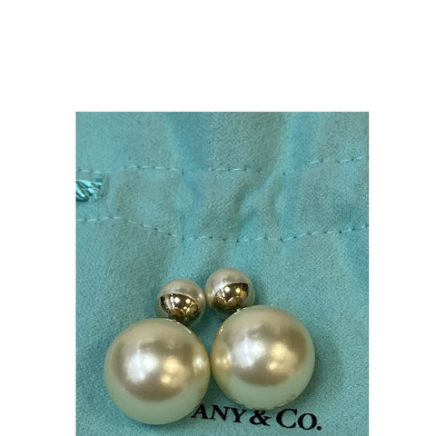 Dior Tribales Earrings